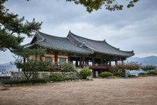 찬란하고 아련하게, 밀양 봄마중 - 경상남도 밀양시 - 가볼만한곳 - 관광지랭킹