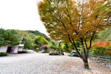 또올래캠프 - 경기도 가평군 - 가볼만한곳 - 관광지랭킹