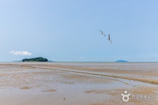 서천송림갯벌체험장 - 충청남도 서천군 - 가볼만한곳 - 관광지랭킹