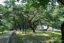 마니산국민관광지 관광 정보와 주변 관광 명소 및 근처 맛집 여행 정보