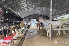 รูปภาพผลการค้นหา Naver 4