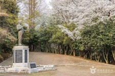죽도봉공원 (2026) - 전남광주통합특별시 순천시 가볼만한곳 - 관광지랭킹
