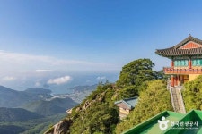 국립남해편백자연휴양림 (2026) - 경상남도 남해군 가볼만한곳 - 관광지랭킹