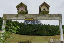 남해 양모리학교 (2026) - 경상남도 남해군 가볼만한곳 - 관광지랭킹