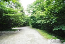 간월산 자연휴양림 - 울산광역시 울주군 - 가볼만한곳 - 관광지랭킹