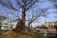 의성세계하늘축제 - 경상북도 의성군 - 가볼만한곳 - 관광지랭킹