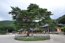 위봉사(완주) - 전라북도 완주군 - 가볼만한곳 - 관광지랭킹