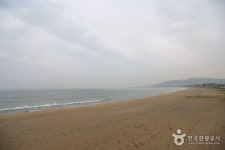 금진해변 - 캠프위크