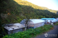 감빛고을 - 경상북도 청도군 - 가볼만한곳 - 관광지랭킹