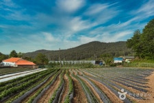 늘햇살만우체험마을 - 강원특별자치도 동해시 - 가볼만한곳 - 관광지랭킹