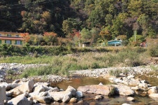 여울애 꽃물들인 - 강원특별자치도 철원군 - 가볼만한곳 - 관광지랭킹