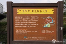 รูปภาพผลการค้นหา Naver 5