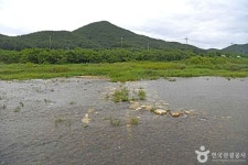 재동유원지 - 강원특별자치도 삼척시 - 가볼만한곳 - 관광지랭킹