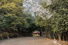 죽도봉공원 (2026) - 전남광주통합특별시 순천시 가볼만한곳 - 관광지랭킹