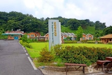 네이버 검색 결과 사진 2