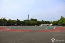 Naver 搜索结果照片 4