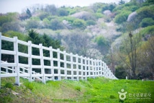 Wondang Horse Ranch (Lets Run Farm) (원당종마목장 (렛츠런팜 원당)) - Korea Tour Ranking