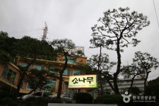 소나무집 - 경기도 하남시 - 가볼만한곳 - 관광지랭킹