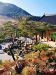 신라궁 - 경상북도 칠곡군 - 가볼만한곳 - 관광지랭킹