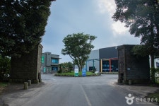 제주 스카이워터쇼 문화 정보와 주변 관광 명소 및 근처 맛집 여행 정보