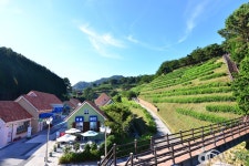 다향아트밸리 관광 정보와 주변 관광 명소 및 근처 맛집 여행 정보