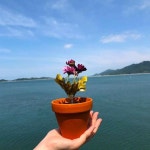 라르고빌리조트 숙박 정보와 주변 관광 명소 및 근처 맛집 여행 정보