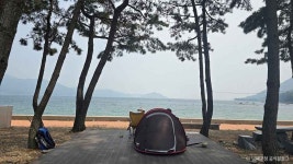 월포해수욕장야영장 레저스포츠 정보와 주변 관광 명소 및 근처 맛집 여행 정보