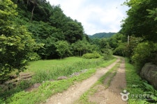 산, 대암산 - 캠프위크