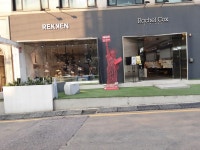 렉켄 가로수 - 서울특별시 강남구 - 가볼만한곳 - 관광지랭킹