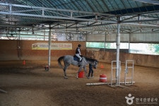 รูปภาพผลการค้นหา Naver 3