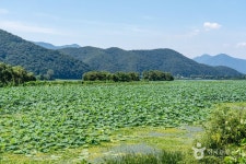 경안천 습지생태공원 - 경기도 광주시 - 가볼만한곳 - 관광지랭킹