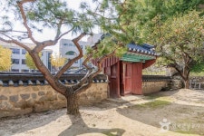 춘천향교 (2026) - 강원특별자치도 춘천시 가볼만한곳 - 관광지랭킹