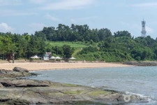 네이버 검색 결과 사진 3