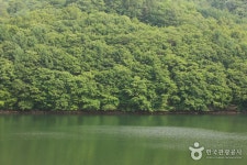 연곡저수지 - 캠프위크