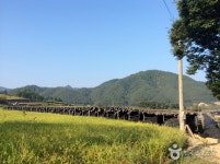 홍도마을 - 충청남도 금산군 - 가볼만한곳 - 관광지랭킹