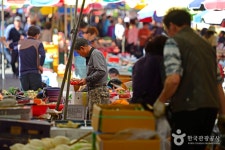 경화장 (3, 8일) (2026) - 경상남도 창원시 진해구 가볼만한곳 - 관광지랭킹
