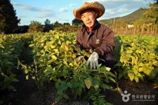 선유랑마을 - 경기도 고양시 덕양구 - 가볼만한곳 - 관광지랭킹