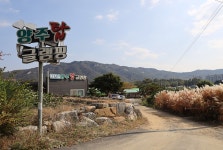 양주 탑 관광농원 글램핑장 - 경기도 양주시 - 가볼만한곳 - 관광지랭킹