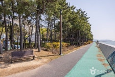 신호공원 관광 정보와 주변 관광 명소 및 근처 맛집 여행 정보