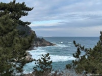 이사부길(새천년해안도로) 관광 정보와 주변 관광 명소 및 근처 맛집 여행 정보