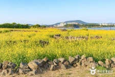 백록회관 (2026) - 제주특별자치도 서귀포시 가볼만한곳 - 관광지랭킹