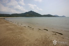 도초 시목해수욕장 - 캠프위크