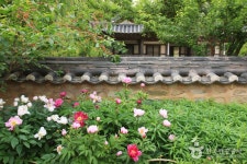 Toji Literature Festival (토지문학제) - 관광지랭킹