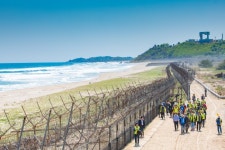 DMZ 평화의길(통일전망대코스) - 강원특별자치도 고성군 - 가볼만한곳 - 관광지랭킹