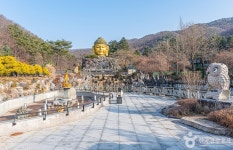 양지파인리조트 스키장 - 경기도 용인시 처인구 - 가볼만한곳 - 관광지랭킹