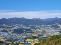 รูปภาพผลการค้นหา Naver 5
