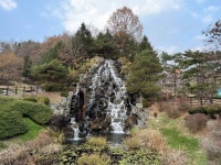 경상북도 산림과학박물관 (2026) - 경상북도 안동시 가볼만한곳 - 관광지랭킹
