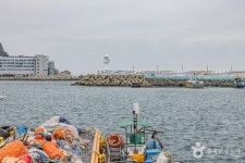 하리선착장(부산) 관광 정보와 주변 관광 명소 및 근처 맛집 여행 정보