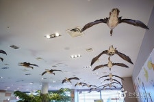 서산버드랜드 - 충청남도 서산시 - 가볼만한곳 - 관광지랭킹