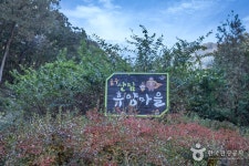 공주 산림휴양마을 - 충청남도 공주시 - 가볼만한곳 - 관광지랭킹